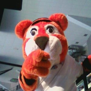 Meet your Posher, Denise